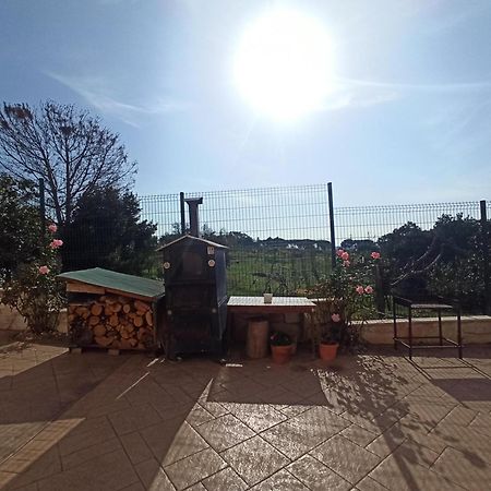 רומא Villa Lilly מראה חיצוני תמונה